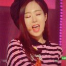 소나무PC방 이미지