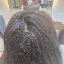 이유살롱 | 운중동 미용실 뿌리염색 단골 후기 [살롱J] 꾸준히 찾는 이유