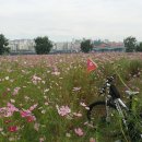 B.K당구장 이미지