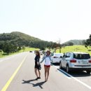 햇사레목장 이미지