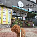 넘버원트리머 이미지