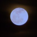 BLUE MOON..... 이미지