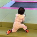 선부광장 내 | ✅ [내 돈 내산] 선부역 키즈카페 정글 팡팡 생생 후기 1탄 ✅