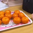 정성가득약국 이미지