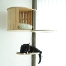 건강한세상행복한약국 | 강아지 영양제 고양이 급여 가능한 피부 오메가3