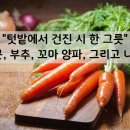 베어문