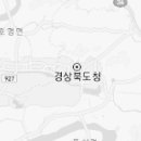 보리수연세안심프롤로의원 티스토리