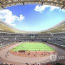 (주)디자인나무 이미지
