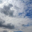 기쁜목장 이미지