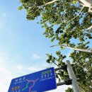 GR(금산군)-[대학로]-하-6 | 혜화역술집 술비 대학로모임장소 방문 후기!