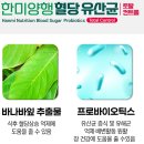 한미토탈 | 한미양행 혈당유산균 토탈컨트롤 350mg x 30캡슐 솔직 섭취 후기! 장건강&혈당관리 한 번에 (판매중)