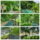 노작공원(오산천변) | 동탄2동 반송동 노작마을 오산천변(여울공원 옆) 산책로, 동탄 여울공원 옆