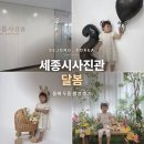 세종시사진관 달봄, 둘째 두돌 디데이 촬영 후기