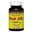 RoyalJelly 이미지
