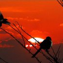 꿈꾸는 언덕 이미지