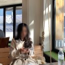 쪼아저씨네파스타 | 충장로 쪼아저씨네 파스타 :: 메뉴 2인분 시키면 피자를 공짜로?!