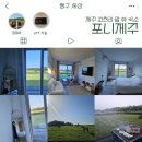 112호 | 제주 조천리 포니제주 | 112호 바베큐와 연박 추천 후기 | 말과 초원이 드리워진 제주도 가성비 감성...