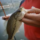 수하골(1) 이미지