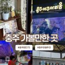 천변어린이공원 | 충주 가볼만한 곳 BEST 5｜아쿠아리움·활옥동굴·자유시장·관아골·듀레베이커리 솔직 후기