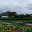 중산동 취락유적 이미지