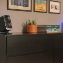 필립스(백합) 이미지