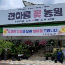 귤현역 | 가성비 최고 인천 계양구 귤현역 근처 &#39;한아름꽃농원&#39;으로 구경오세요(김포 인근)^^