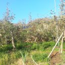 광주광역시청 B 이미지