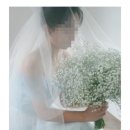 화원시장 | 양재꽃시장 오이화원 안개꽃 부케 후기｜웨딩 촬영용 서브부케 가성비 인정