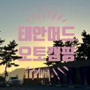 태안머드오토캠핑 이미지
