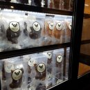 하이펫 애견샵 이미지