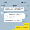 취업일기 2. 숨고 자소서 컨설팅 대리첨삭 블루칼라 내돈내산 후기