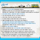 창문 넘어 도망친 100세 노인 이미지