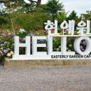 이스틀리 이미지
