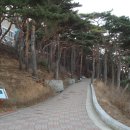 손양주유소 네이버블로그