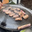 대전애견동반식당 대전고기맛집 대전우대갈비 대전도안동맛집 | 도안동 시크릿가든 솔직 리뷰 후기