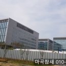 마미스런치