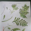 포크아트 이미지