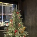 심심주택 | 내돈내산 동남지구단체술집 맛집 청주 감성 무궁화주택 유린기 크림짬뽕 솔직후기