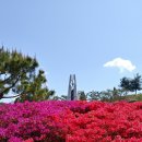 대한민국전몰군경유족회충북지부충주시지회 | 호국보훈의 달! 옥천 충혼탑, 현충일 현장