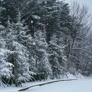 용천휴게소 이미지