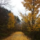 회귀-모정 이미지