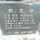 보천목장 Daum카페
