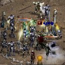 숲속고양이 이미지