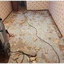 신사동-1 이미지