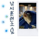 낚시 훈련소 이미지