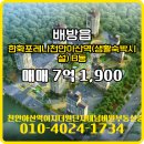 포레나단지내 부동산중개 | 아산시 배방읍 부동산 천안아산역이지더원단지내넘버원부동산중개 한화포레나천안아산역(생활숙박시설...