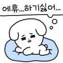 알로하라운지