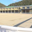 순창군승마장 이미지