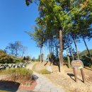 조성중학교 이미지