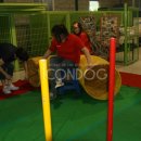 챔피언 애견농장 이미지